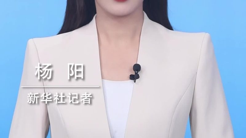 制造业软件定制开发：如何选择靠谱的合作伙伴